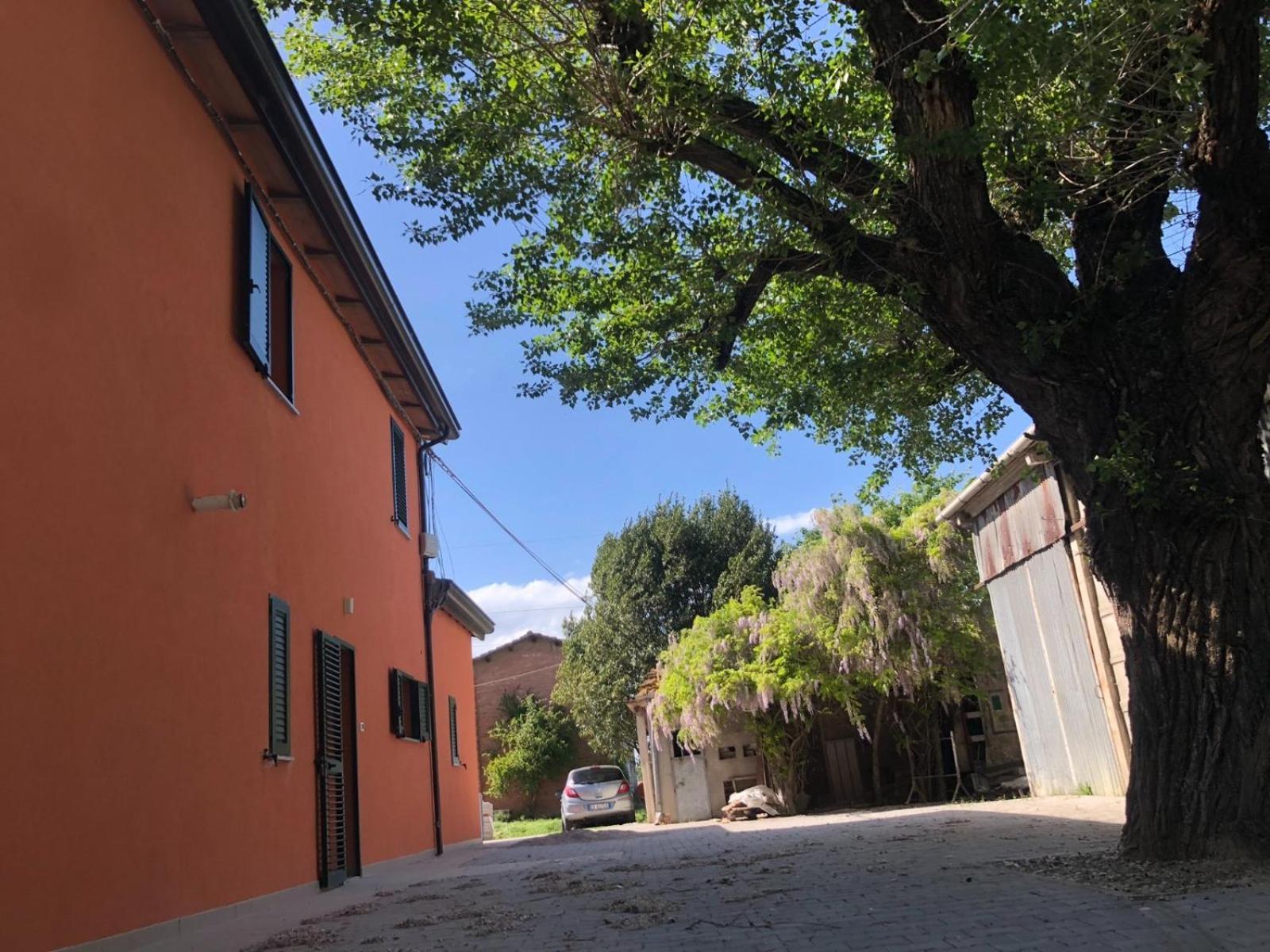 Guesthouse La Casa Di Giada Ίμολα Εξωτερικό φωτογραφία
